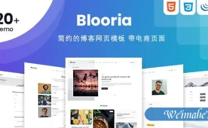 响应设计博客HTML模板带电商页面