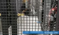 国内最好的BGP服务器是哪家|云服务器 怎么样