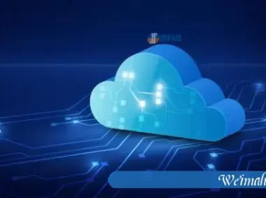 租的服务器·选择适合的云服务器和独立服务器