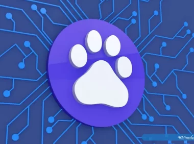 WordPress SEO插件-WBOLT百度推送管理V3.4.10 Pro