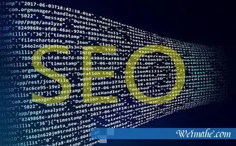 虚拟主机能让网站快速排名吗?