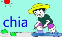 Chia币挖矿服務器配置有哪些?