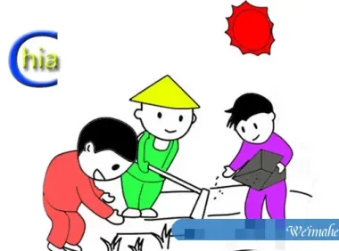 chia币农场挖矿服务器的疑问和解答