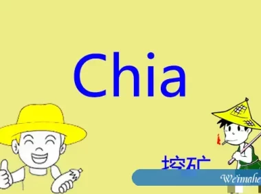 现在用服务器挖Chia币还有用吗?