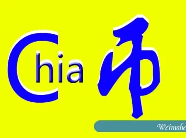 买服務器挖chia币多久可以回本_境外服务器租用