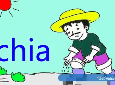 Chia币挖矿服務器配置有哪些?