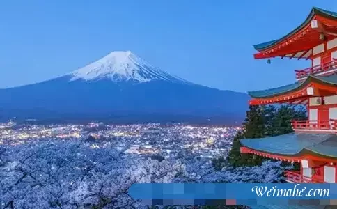 idc机房：租赁日本服务器一年的价格