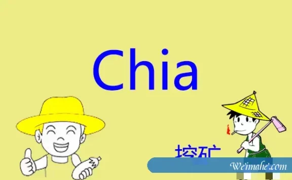 现在用服务器挖Chia币还有用吗?