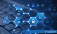 Swarm（BZZ币）有哪些的经济价值