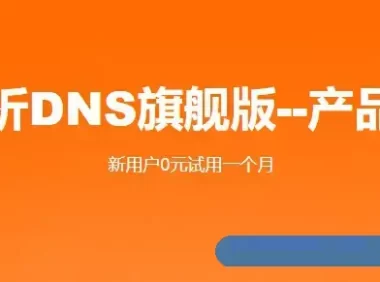 阿里云解析DNS旗舰版免费试用,阿里云解析DNS个人版和免费版区别