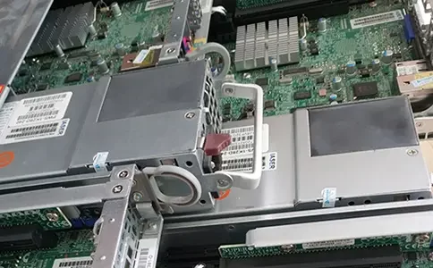 服务器网_租用比利时服务器有什么优点?