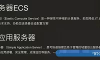 阿里云esc共享型n4和轻量应用服务器哪个好?