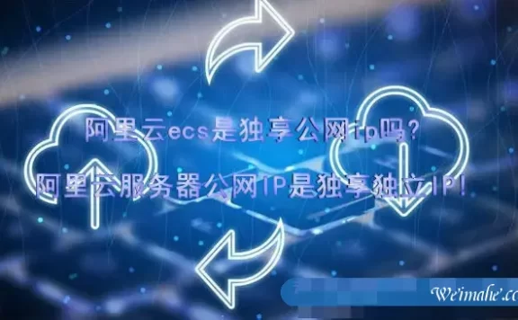 阿里云ecs是独享公网ip吗?阿里云服务器公网IP是独享独立IP!