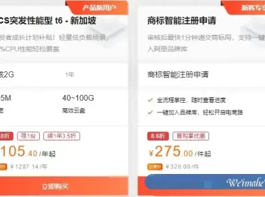 阿里云新加坡vps：云服务器ecs突发性能型t6 2核2G仅105.4元/年