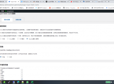 WordPress高级纯静态插件Super Static Cache新版教程