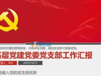 基层党建党委党支部工作汇报述职报告