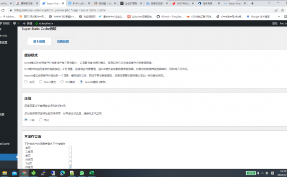 WordPress高级纯静态插件Super Static Cache新版教程