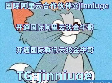 阿里云国际版购买云服务器：国际阿里云分销商，注册充值教程