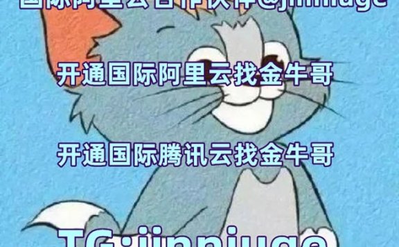 阿里云国际版购买云服务器:国际阿里云分销商,注册充值教程