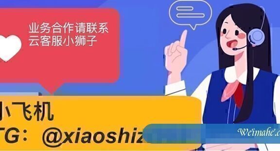 狮子云:阿里云国际版账号注册充值教程,无需paypal信用卡即可充值购买服务器等产品