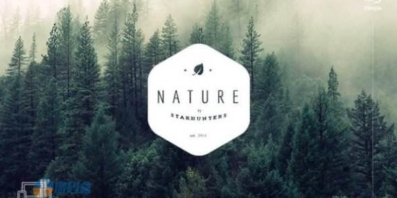 2Simple Nature 倒计时HTML模板