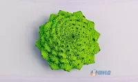 新手SEO分析网站的6个步骤
