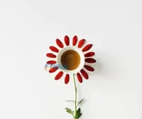 细数B2主题使用者开发的各种扩展插件