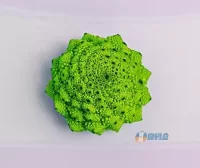 细数B2主题使用者开发的各种扩展插件