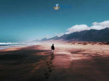 SEO优化影响网站权重的一些因素