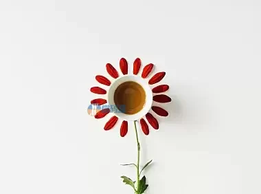 在WordPress分类归档页面显示子分类链接