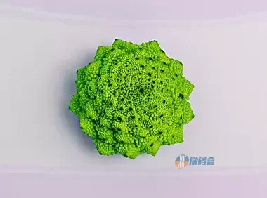 在WordPress分类归档页面显示子分类链接